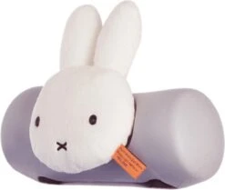 Slaaprol Yepp Nijntje -Winkel Voor Fietsbenodigdheden 1200x1016 3