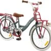 2Cycle Desire Kinderfiets - 20 Inch - Voordrager -Grijs-Roze - Meisjesfiets -Winkel Voor Fietsbenodigdheden 1200x1113