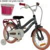 2Cycle Pretty Kinderfiets - 14 Inch - Grijs-Roze - Meisjesfiets -Winkel Voor Fietsbenodigdheden 1200x1159
