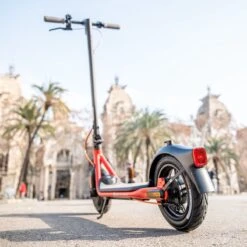 Ninebot By Segway KickScooter D28E - E-step - Actieradius: 28km - Snelheid: 25km/h - Officieel Benelux Model -Winkel Voor Fietsbenodigdheden 1200x1200 1217