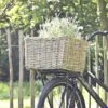 Rieten Fietsmand - 50×40×30cm - Fietsmand Rotan Van Vergrijsd Rotan – Groot - Het Mandenhuys 1 Rieten Fietsmand - 50×40×30cm - Fietsmand Rotan Van Vergrijsd Rotan – Groot - Het Mandenhuys -Winkel Voor Fietsbenodigdheden 1200x1200 428