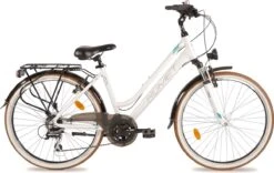 Romet Gazela 26 Inch -Winkel Voor Fietsbenodigdheden 1200x757 1