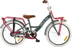 2Cycle Desire Kinderfiets - 20 Inch - Voordrager -Grijs-Roze - Meisjesfiets -Winkel Voor Fietsbenodigdheden 1200x783 3