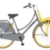 Popal Daily Dutch Basic Season - 26 Inch - Meisjesfiets - Transport - Grijs Geel -Winkel Voor Fietsbenodigdheden 1200x788 1