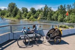 Burley Bee Double Kinderfietskar - Twee Kinderen -Winkel Voor Fietsbenodigdheden 1200x800 161