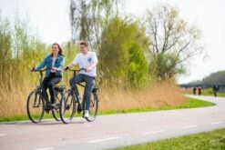 Amigo E-Vibe D1 - Elektrische Stadsfiets Voor Heren - Met 7 Versnellingen - Matgrijs -Winkel Voor Fietsbenodigdheden 1200x800 28