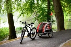 Fietskar Voor Kinderen - Met Buggyfunctie - En Schokbrekers - Rood -Winkel Voor Fietsbenodigdheden 1200x801 24