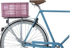 Basil Fietskrat S - Small - 17.5 Liter - Roze -Winkel Voor Fietsbenodigdheden 1200x819 3