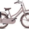 Valetta Cargo - Transportfiets - Meisjesfiets - 20 Inch - Mat Flamingo -Winkel Voor Fietsbenodigdheden 1200x821