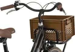 Fastrider Fietskrat Medium - Bruin - 22L -Winkel Voor Fietsbenodigdheden 1200x833 1