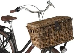 Fastrider Sera Rotan Fietsmand - Bruin - 26L - Handgemaakt - Met Klep -Winkel Voor Fietsbenodigdheden 1200x865 4