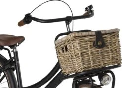 Fastrider Sera Rotan Fietsmand - Naturel - 8L - Handgemaakt - Met Klep 16 Fastrider Sera Rotan Fietsmand - Naturel - 8L - Handgemaakt - Met Klep -Winkel Voor Fietsbenodigdheden 1200x871 5