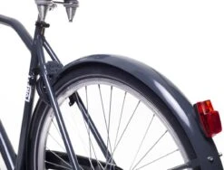 Amigo Forest - Transportfiets 28 Inch - Herenfiets Met Voordrager - Grijs -Winkel Voor Fietsbenodigdheden 1200x912