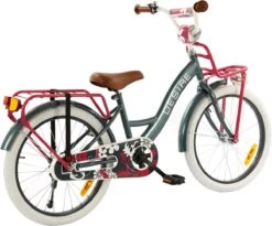 2Cycle Desire Kinderfiets - 20 Inch - Voordrager -Grijs-Roze - Meisjesfiets -Winkel Voor Fietsbenodigdheden 1200x995