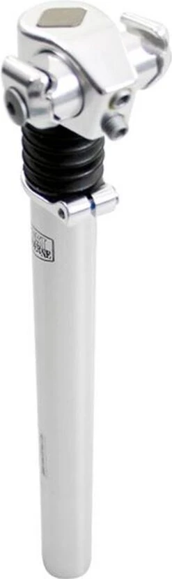 Zadelpen Verend 27,2 X 310 Mm Aluminium Zilver -Winkel Voor Fietsbenodigdheden 357x1200