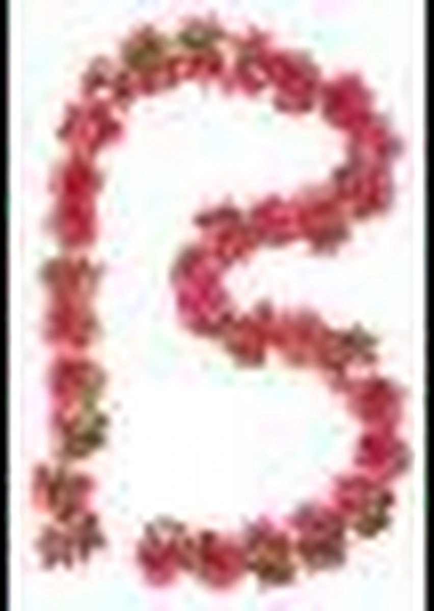 Basil Flower Garland Bloemenstreng - Roze 5 Basil Flower Garland Bloemenstreng - Roze - Afbeelding 3
